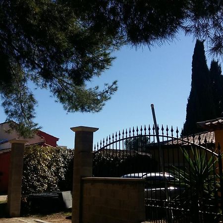 Chambres De La Terre Blanche Sanary-sur-Mer Pokój zdjęcie