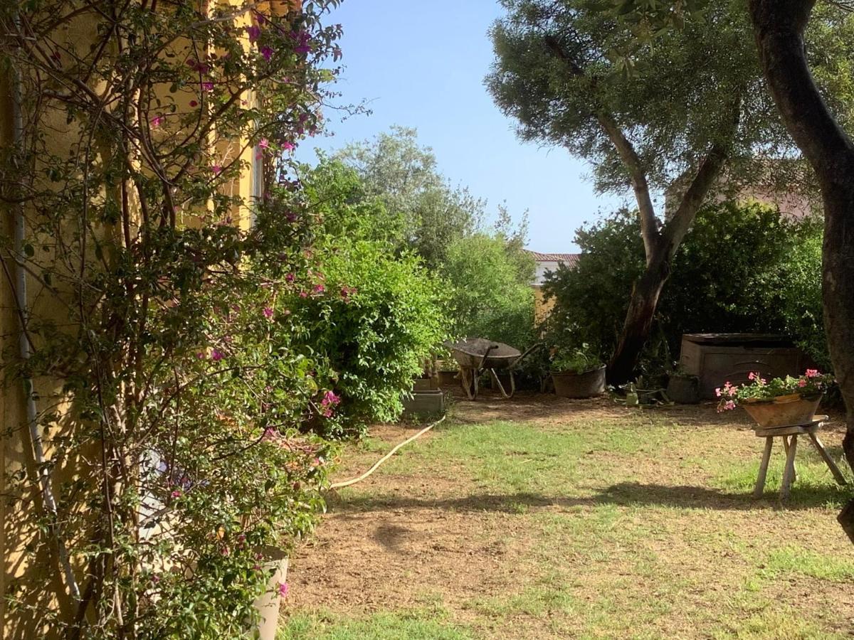 Chambres De La Terre Blanche Sanary-sur-Mer Zewnętrze zdjęcie